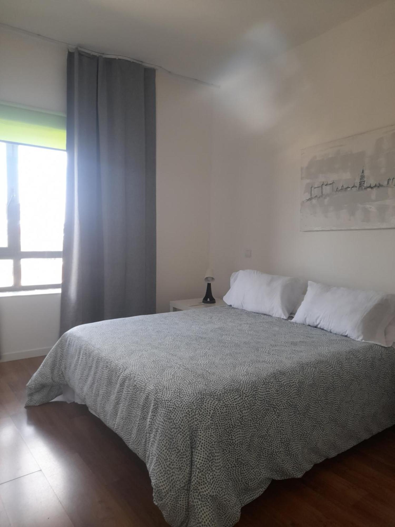 Toletum Low Cost Lofts Diafanos O 2Dormitorios Parking Municipal Gratis Al Aire Libre A 100M トレド エクステリア 写真